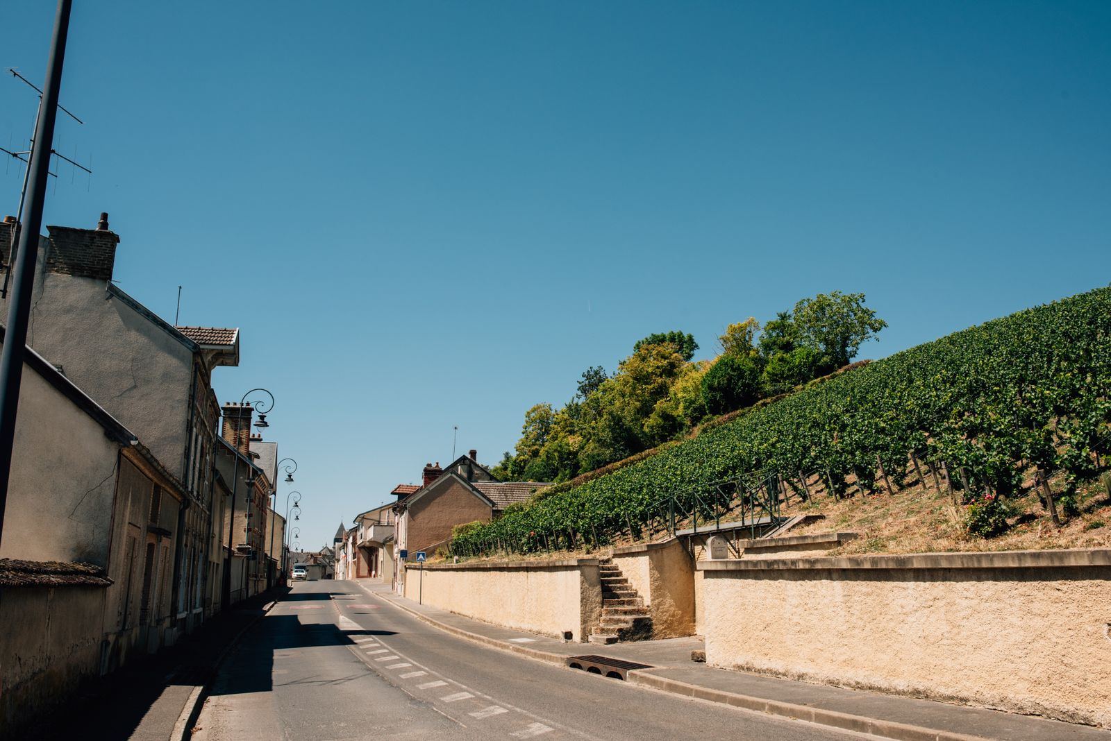Paysage rural de Brie champenoise